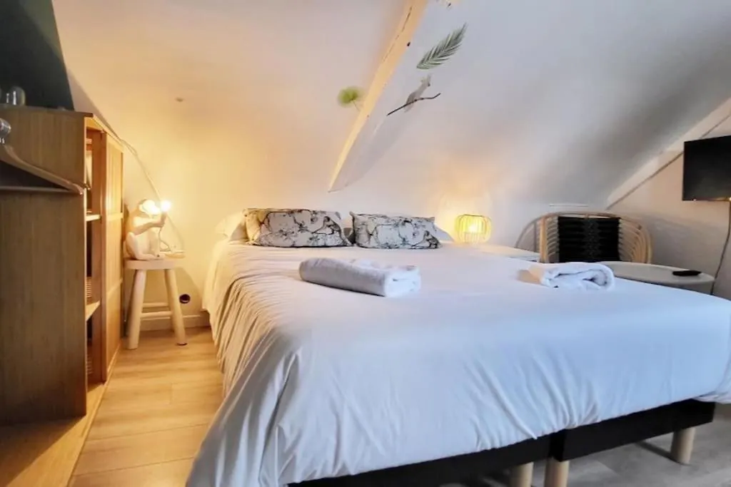 La Cabane - Petit Studio Mansarde - Plage 50M - Rue Gratuite Saint-Malo France